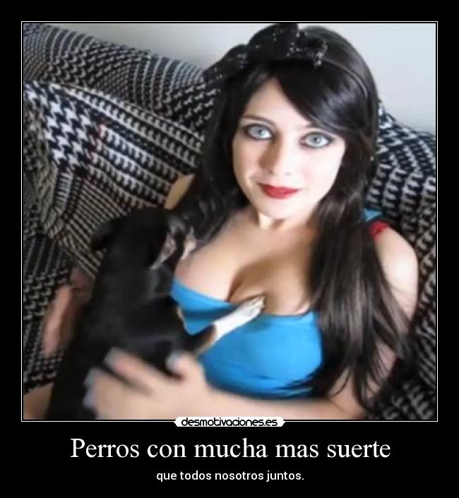 Perros con mucha mas suerte - que todos nosotros juntos.