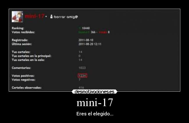 mini-17 -