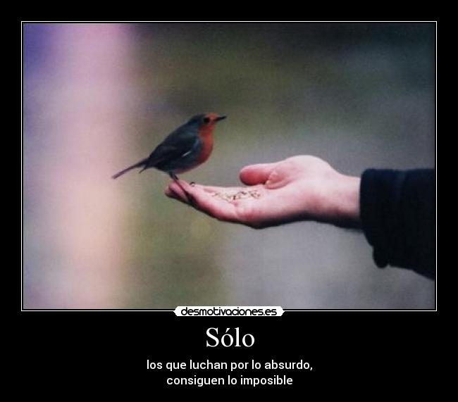 Sólo - los que luchan por lo absurdo,
consiguen lo imposible