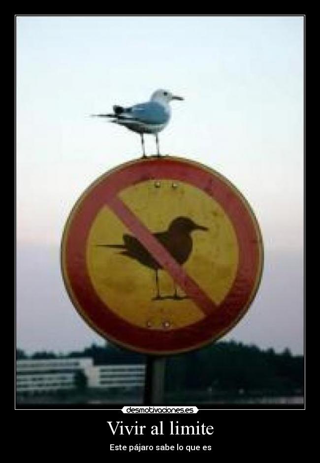 Vivir al limite -