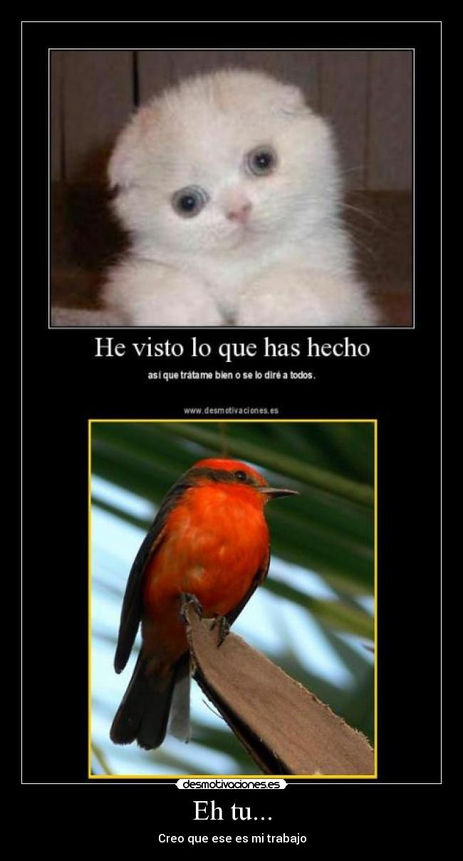 Eh tu... - Creo que ese es mi trabajo