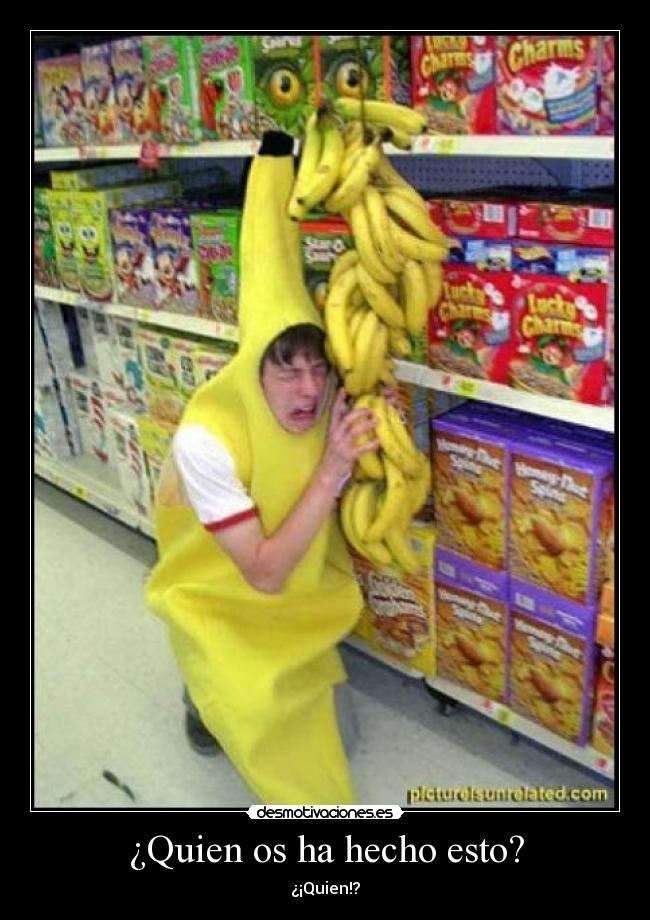¿Quien os ha hecho esto? -