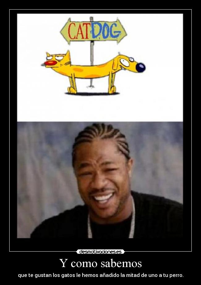 Y como sabemos - que te gustan los gatos le hemos añadido la mitad de uno a tu perro.
