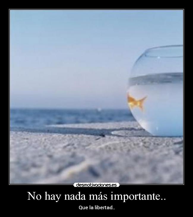No hay nada más importante.. - Que la libertad..