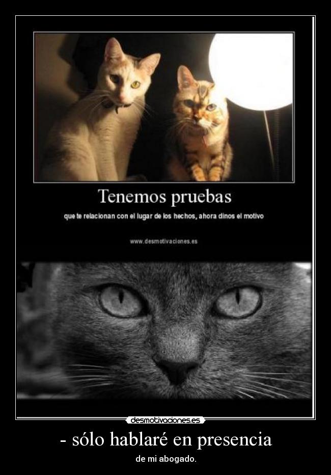 - sólo hablaré en presencia - de mi abogado.