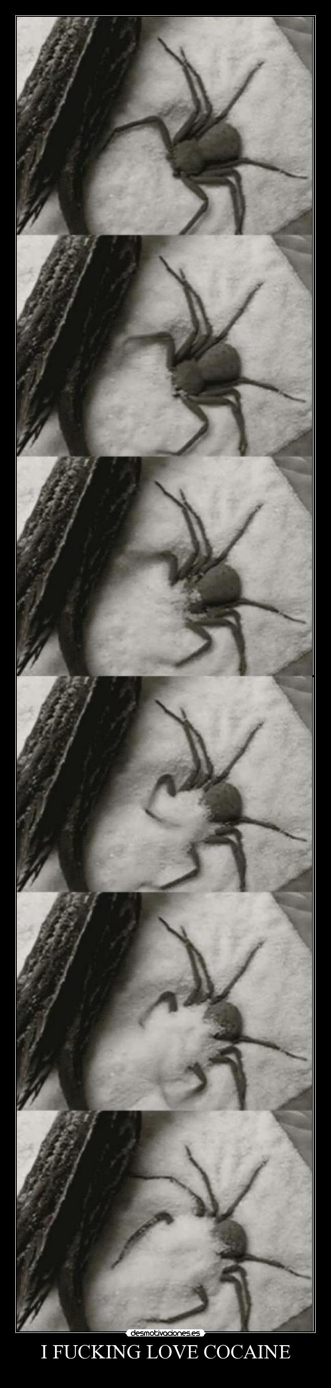 I FUCKING LOVE COCAINE - 