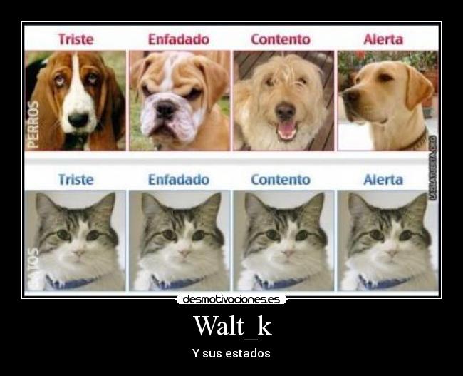 Walt_k - Y sus estados