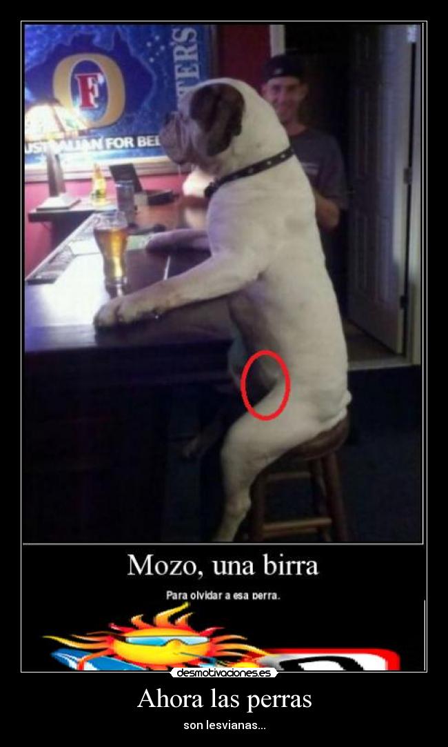 Ahora las perras - son lesvianas...