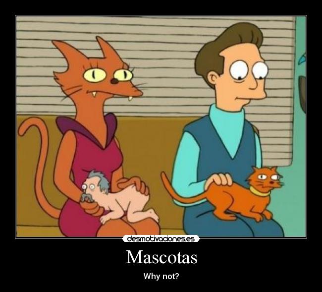 Mascotas - Why not?