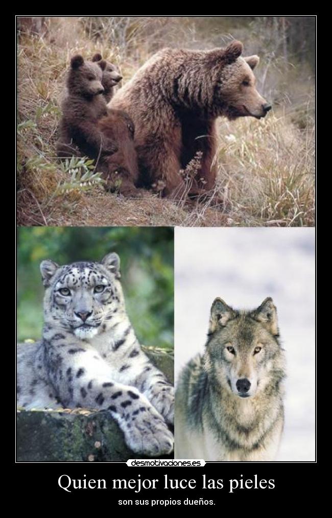 Quien mejor luce las pieles -