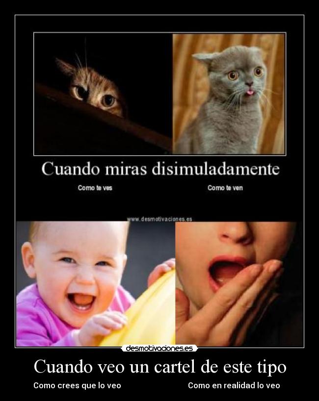 Cuando veo un cartel de este tipo - Como crees que lo veo Como en realidad lo veo