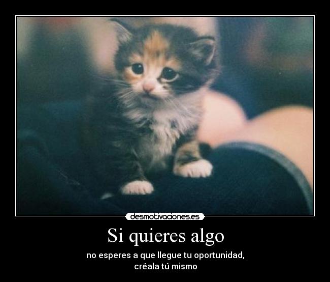 Si quieres algo - no esperes a que llegue tu oportunidad,
créala tú mismo