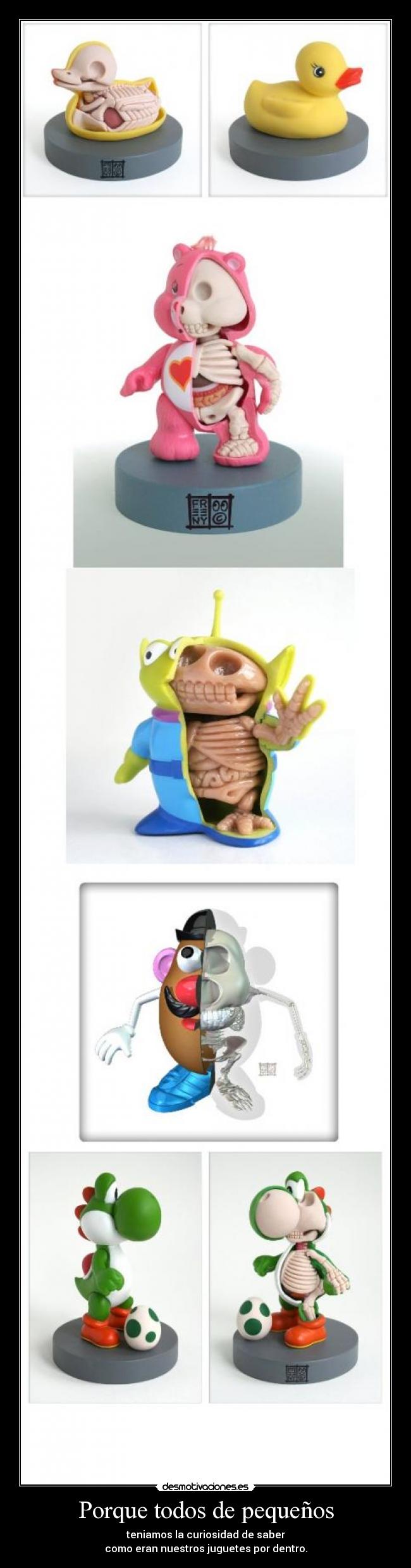 Porque todos de pequeños - teniamos la curiosidad de saber
como eran nuestros juguetes por dentro.