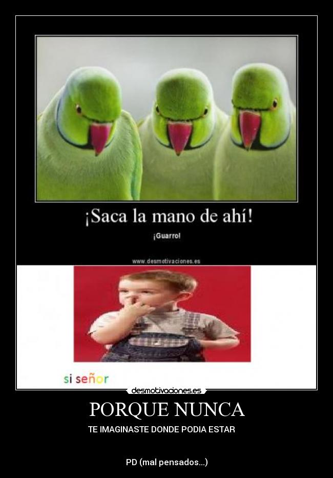 PORQUE NUNCA -
