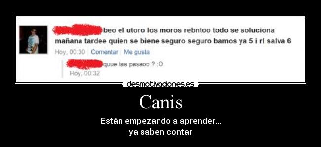 Canis - Están empezando a aprender...
ya saben contar