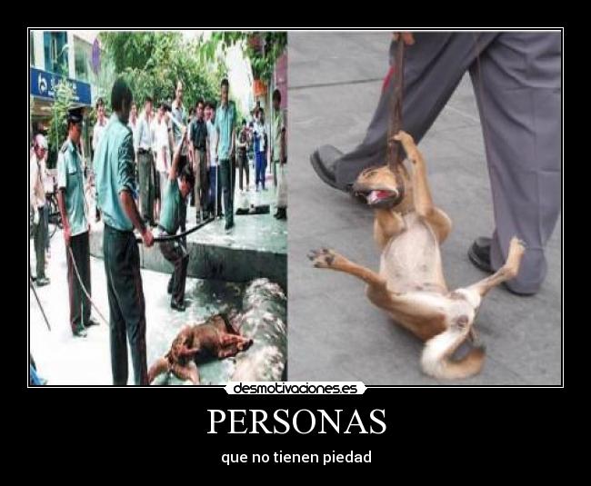 PERSONAS - 