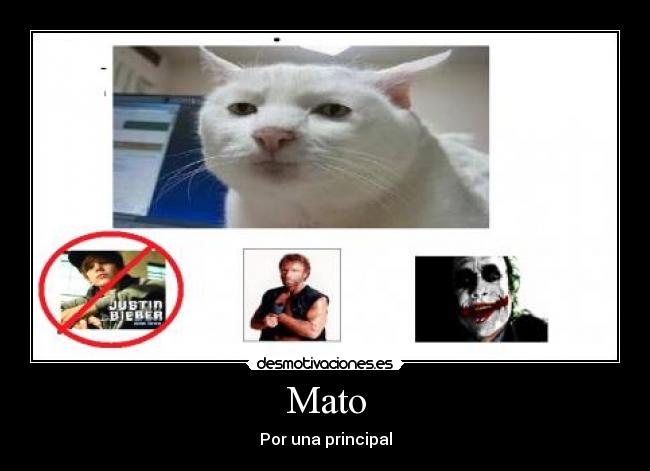 Mato - Por una principal