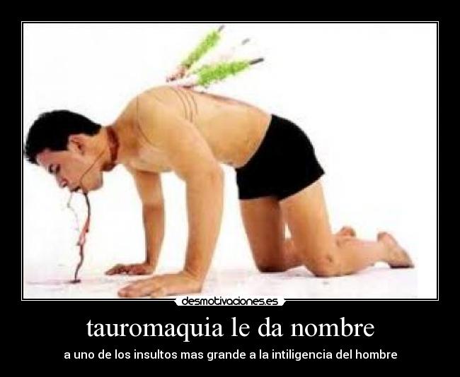 tauromaquia le da nombre -