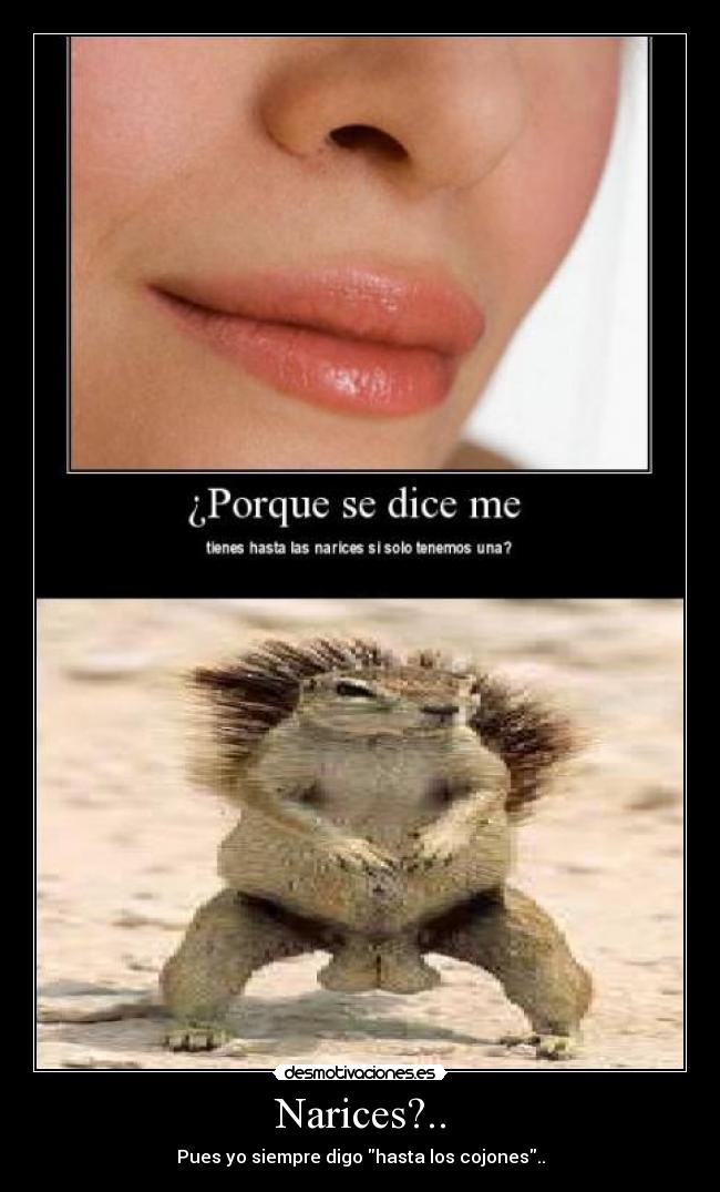 Narices?.. - Pues yo siempre digo hasta los cojones..