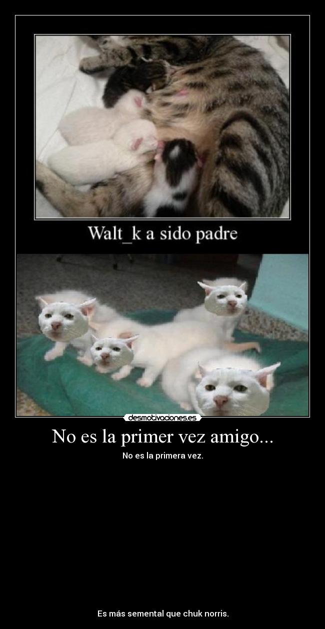 No es la primer vez amigo... - No es la primera vez.
Es más semental que chuk norris.