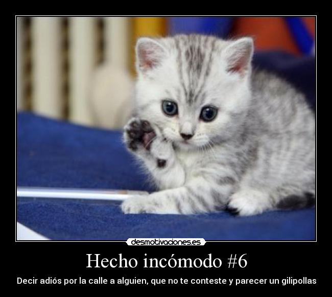 Hecho incómodo #6 - Decir adiós por la calle a alguien, que no te conteste y parecer un gilipollas