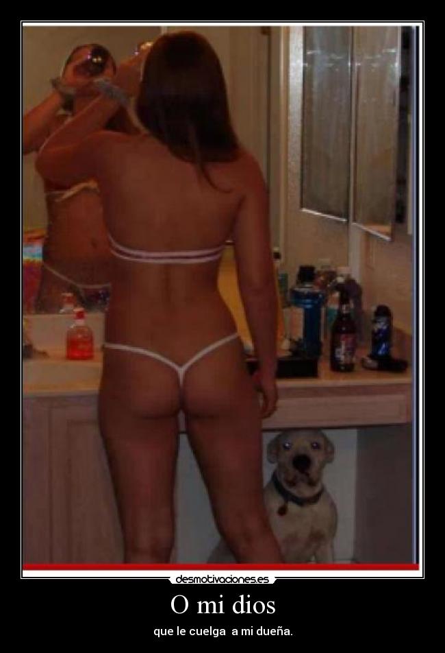 O mi dios - que le cuelga a mi dueña.