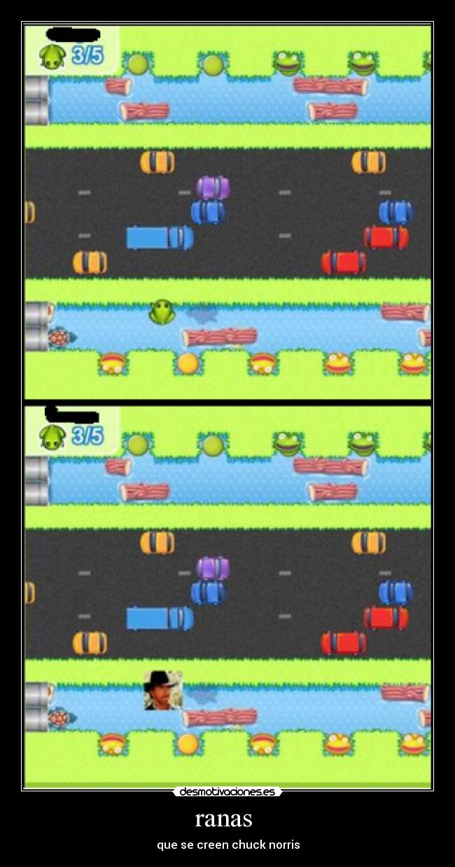 ranas - que se creen chuck norris