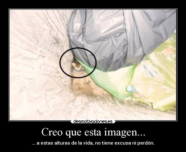 carteles sadf desmotivaciones