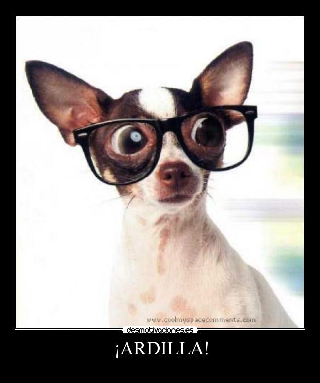 ¡ARDILLA! - 