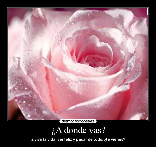 ¿A donde vas? - 