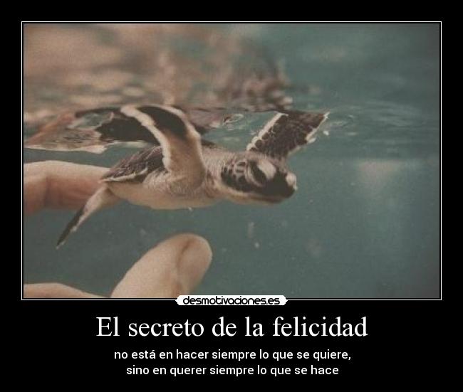 El secreto de la felicidad - no está en hacer siempre lo que se quiere,
sino en querer siempre lo que se hace