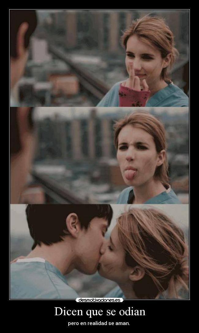 Dicen que se odian -