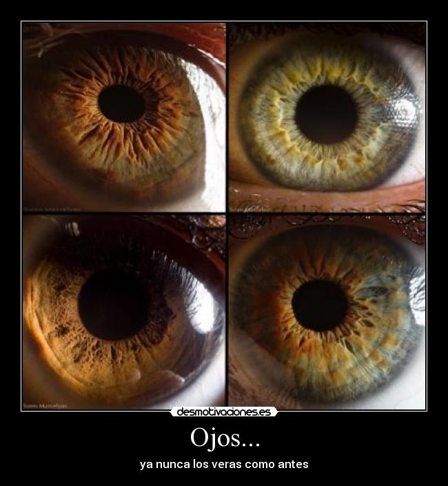 Ojos... -