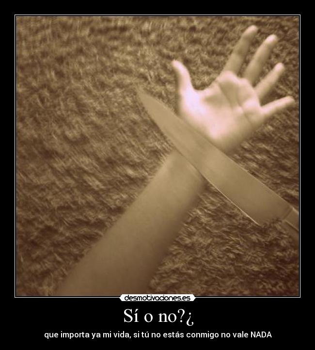 Sí o no?¿ -