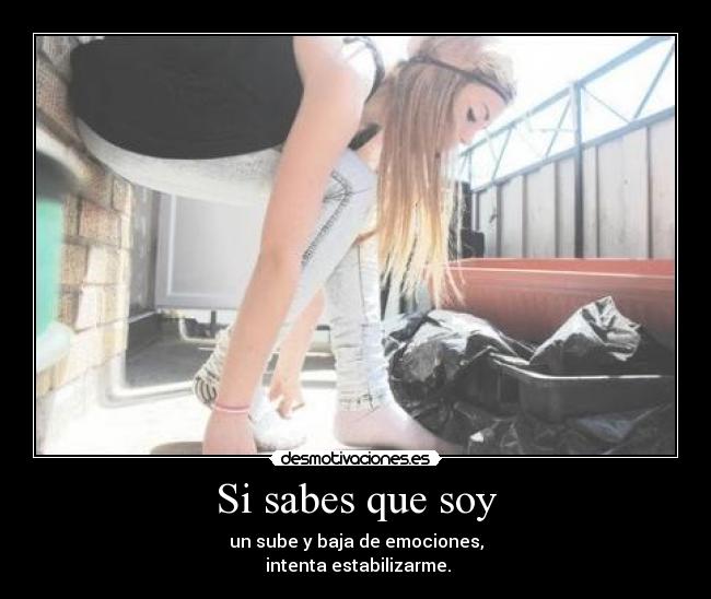 carteles que estoy happy estoy bajon eso puede ser joder desmotivaciones