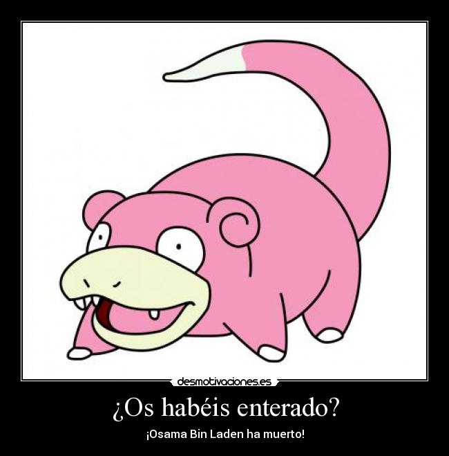 ¿Os habéis enterado? -