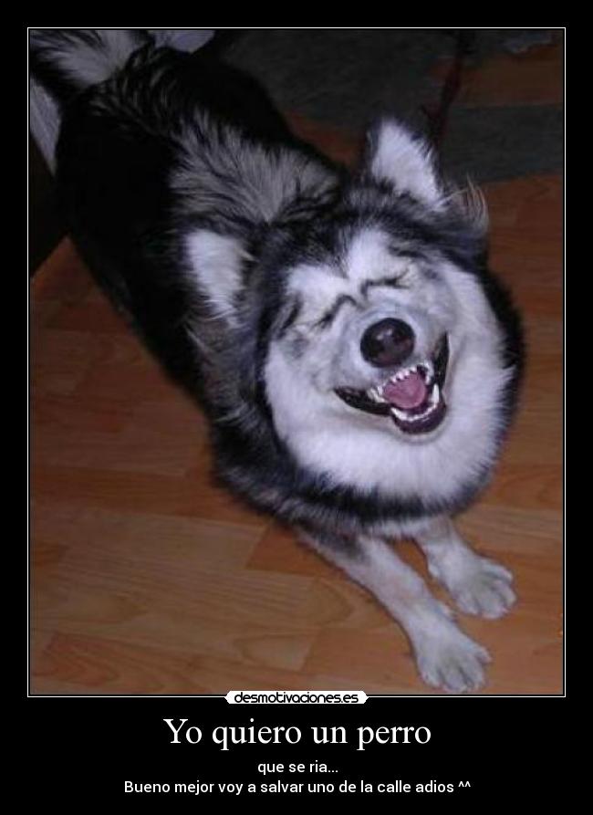 Yo quiero un perro - que se ria...
Bueno mejor voy a salvar uno de la calle adios ^^