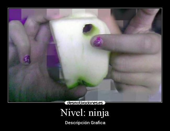 Nivel: ninja - Descripción Grafica