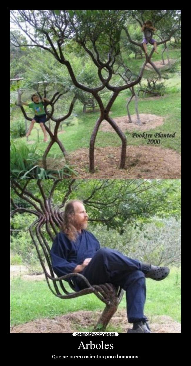 Arboles - Que se creen asientos para humanos.