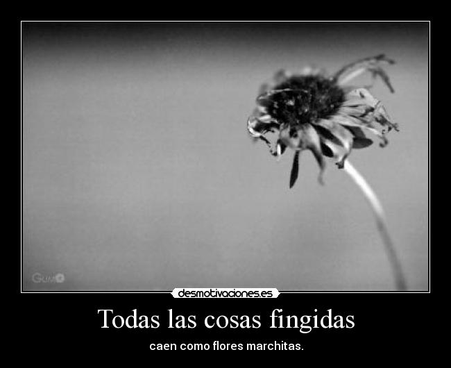 Todas las cosas fingidas - 