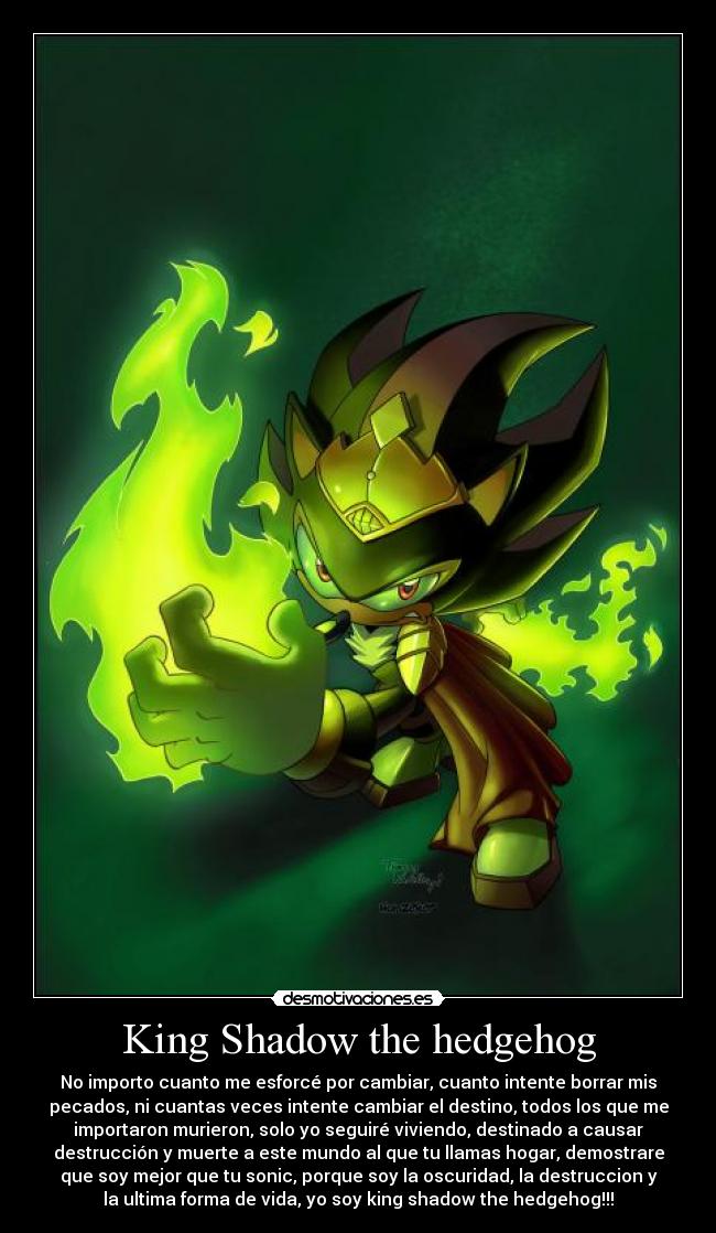 carteles king shadow the hedgehog desmotivaciones