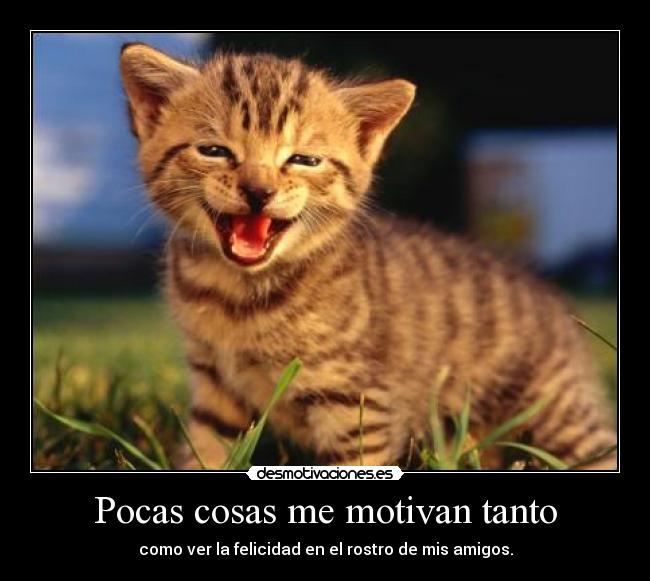 Pocas cosas me motivan tanto - 