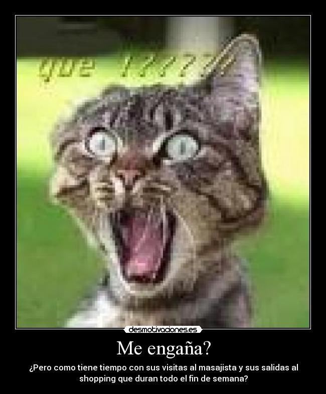 carteles alguien dice para que rayos sirve campo etiquetas desmotivaciones