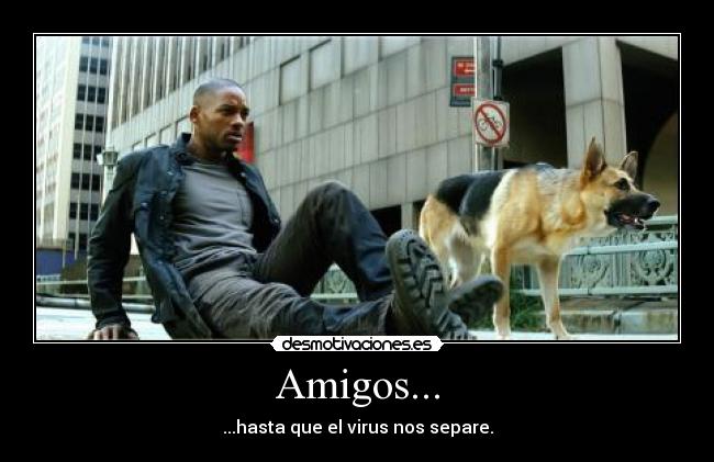 Amigos... - 