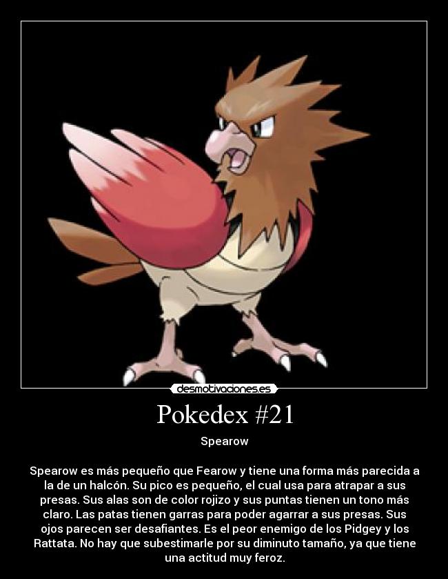 Pokedex #21 -