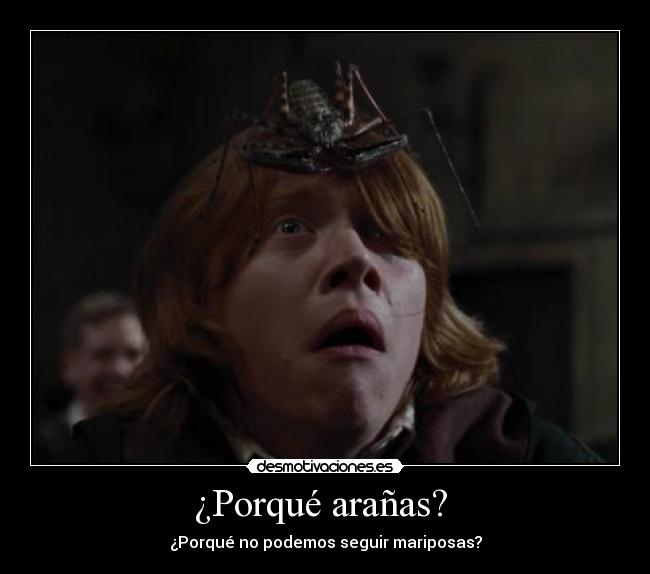 ¿Porqué arañas? - ¿Porqué no podemos seguir mariposas?