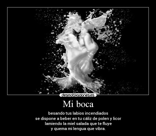 Mi boca - besando tus labios incendiados
se dispone a beber en tu cáliz de polen y licor
lamiendo la miel salada que te fluye
y quema mi lengua que vibra.
