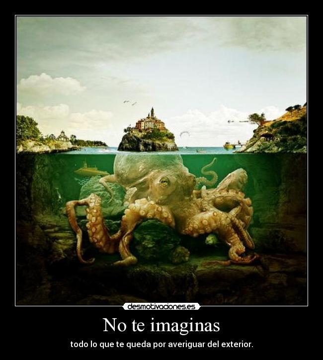 No te imaginas -