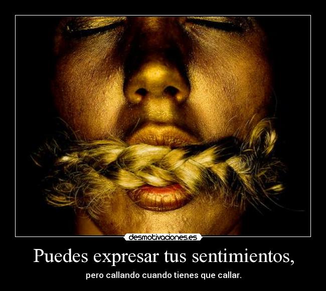 carteles sentimientos expresa tus sentimientos pero callando cuando tienes que callar desmotivaciones