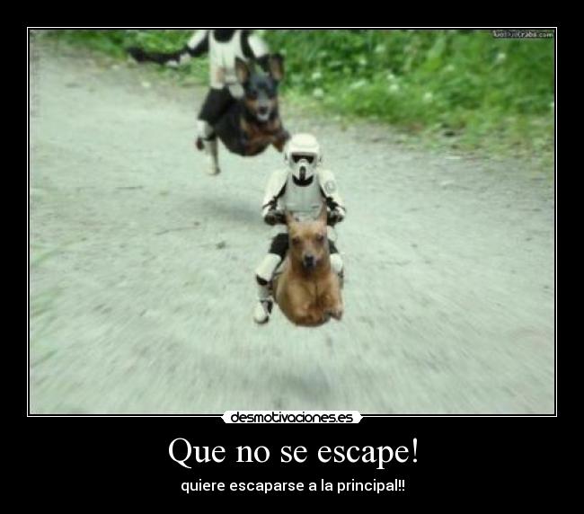 Que no se escape! - quiere escaparse a la principal!!